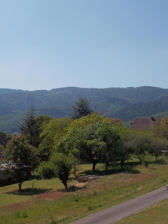 Вилла Maison De Vacances "Le Longchamp" Osenbach Экстерьер фото